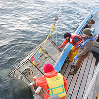 Montague Marine Research aboard the R/V Montague