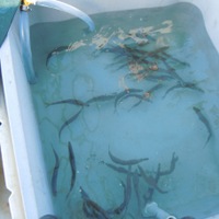 Montague Marine Research aboard the R/V Montague