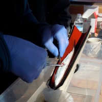 Montague Marine Research aboard the R/V Montague