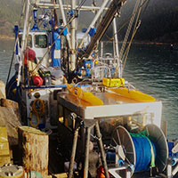 Montague Marine Research aboard the R/V Montague